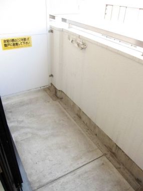 �y�x�����_�z�@