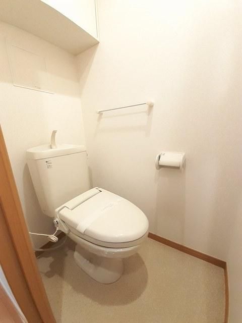 �y�g�C���z�@