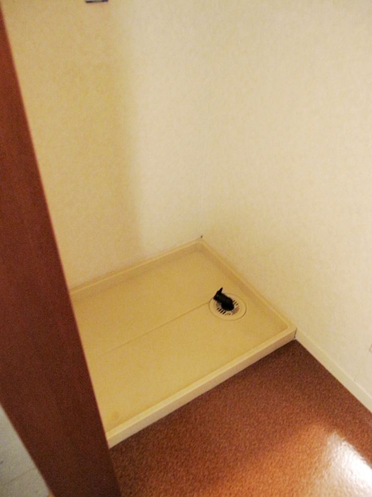 �y���̑��ݔ��z�@