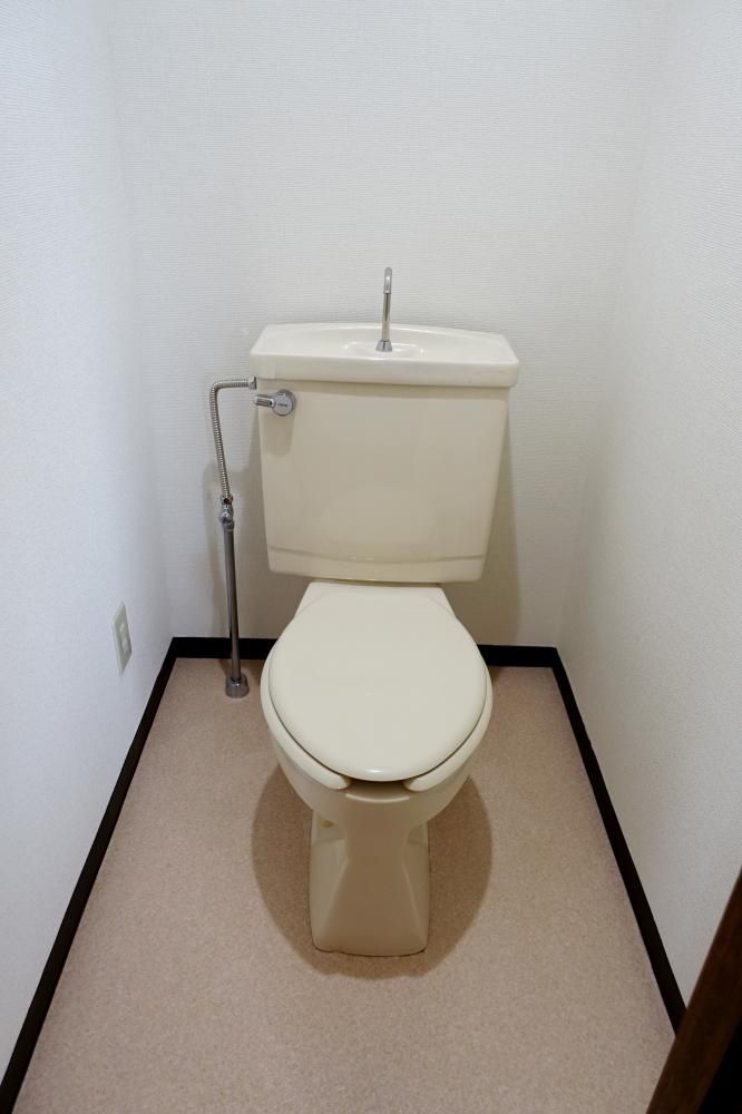 �y�g�C���z�@