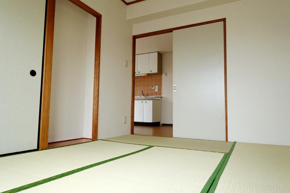 �y���̑��z�@