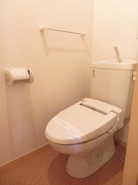 �y�g�C���z�@