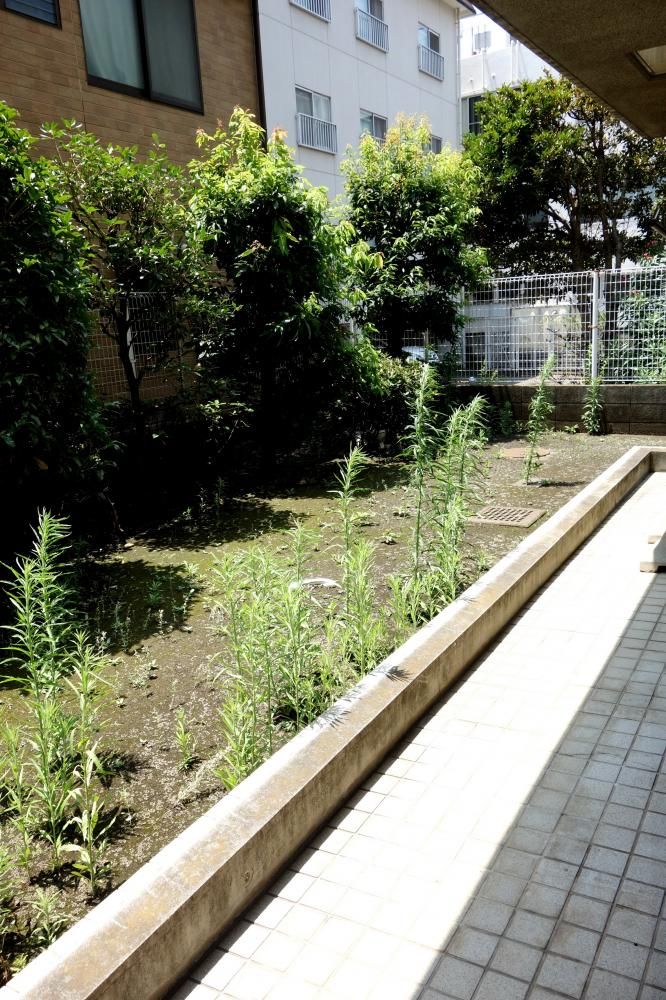 �y�x�����_�z�@