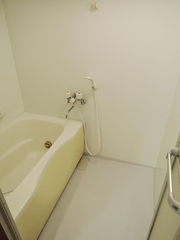 �y�o�X�z�@