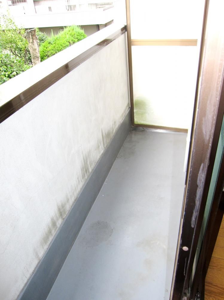 �y�x�����_�z�@