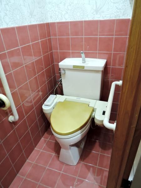 �y�g�C���z�@