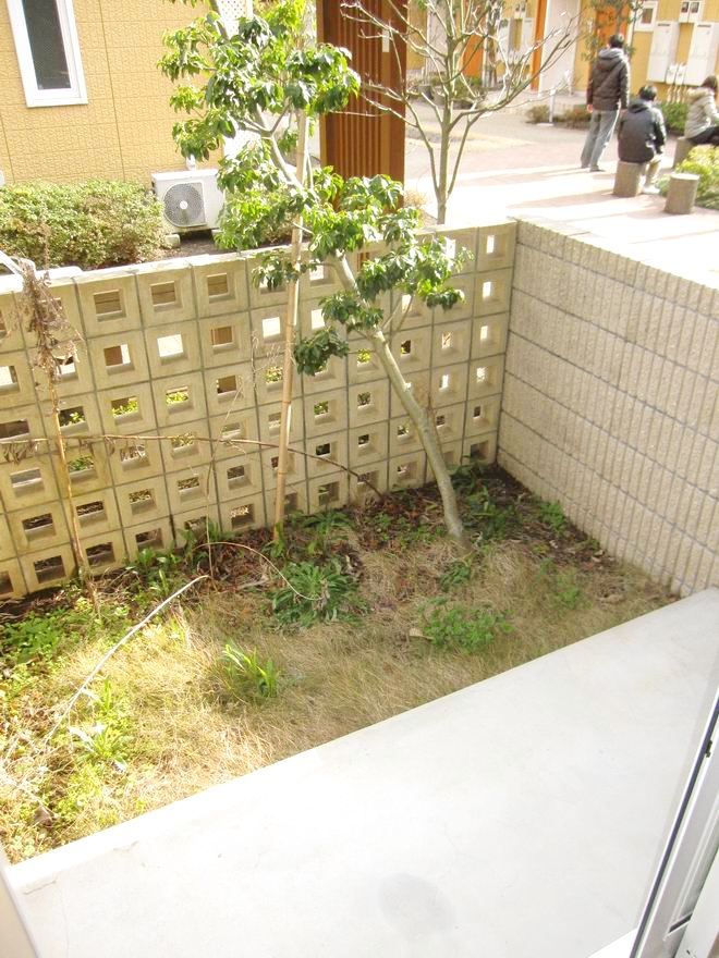 �y�x�����_�z�@