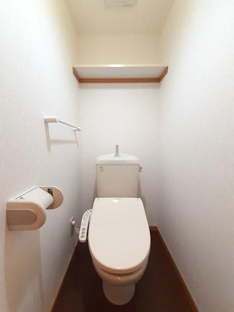 �y�g�C���z�@