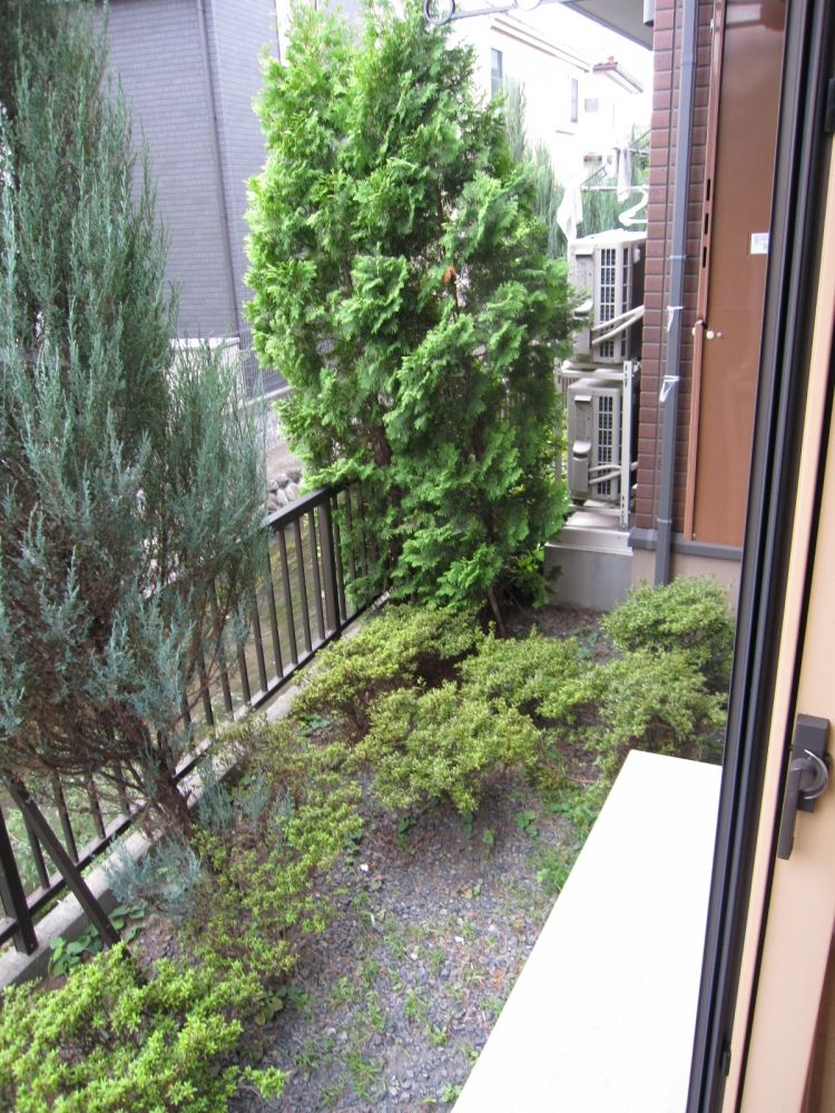 �y�x�����_�z�@