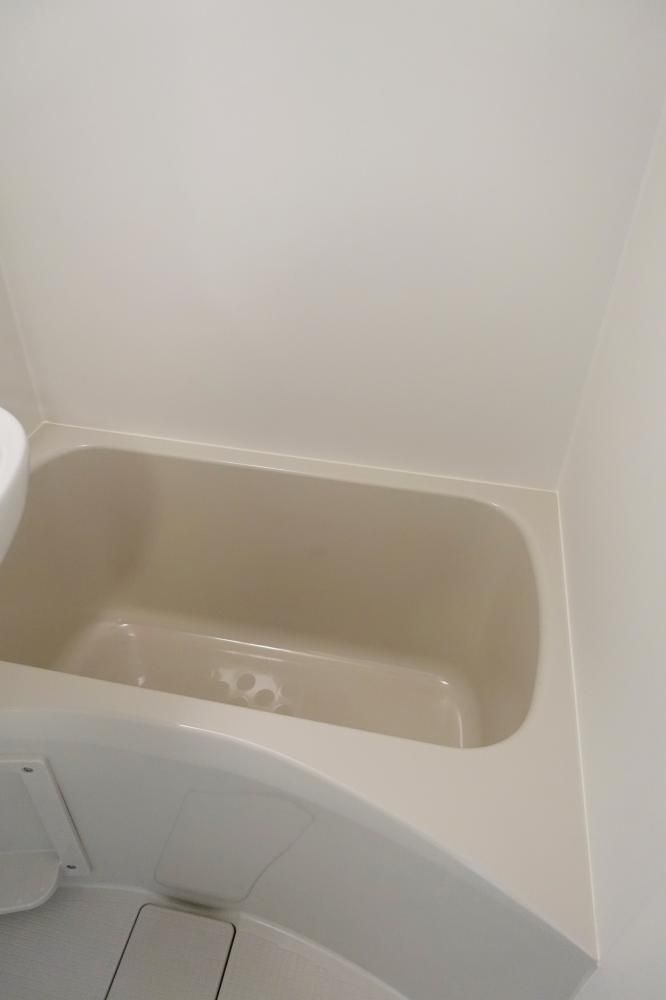 �y�o�X�z�@