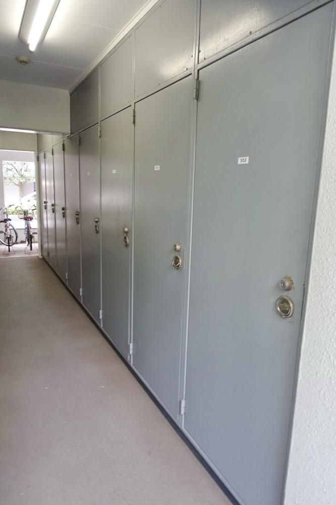 �y���̑����L�����z�@