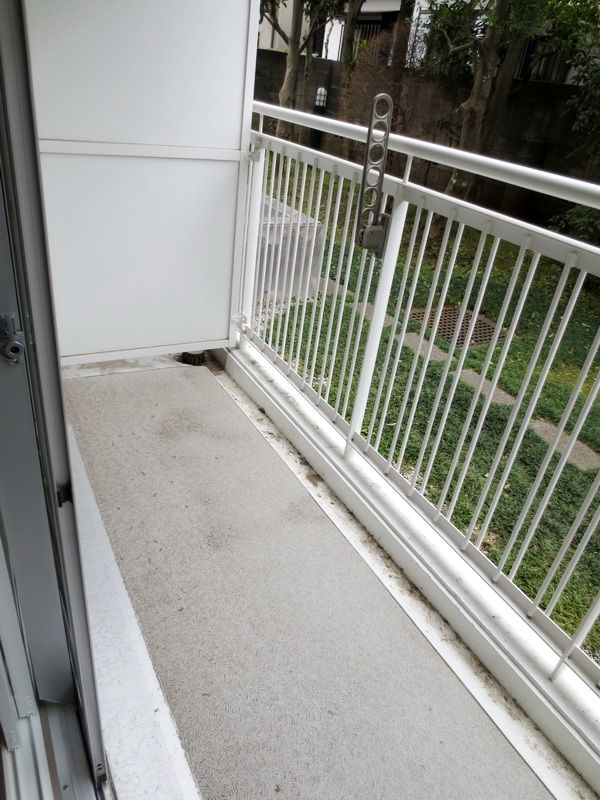 �y�x�����_�z�@