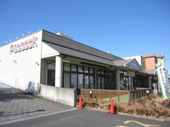 �y���Ӂz�@�s�[�R�b�N�@�W�O�O��