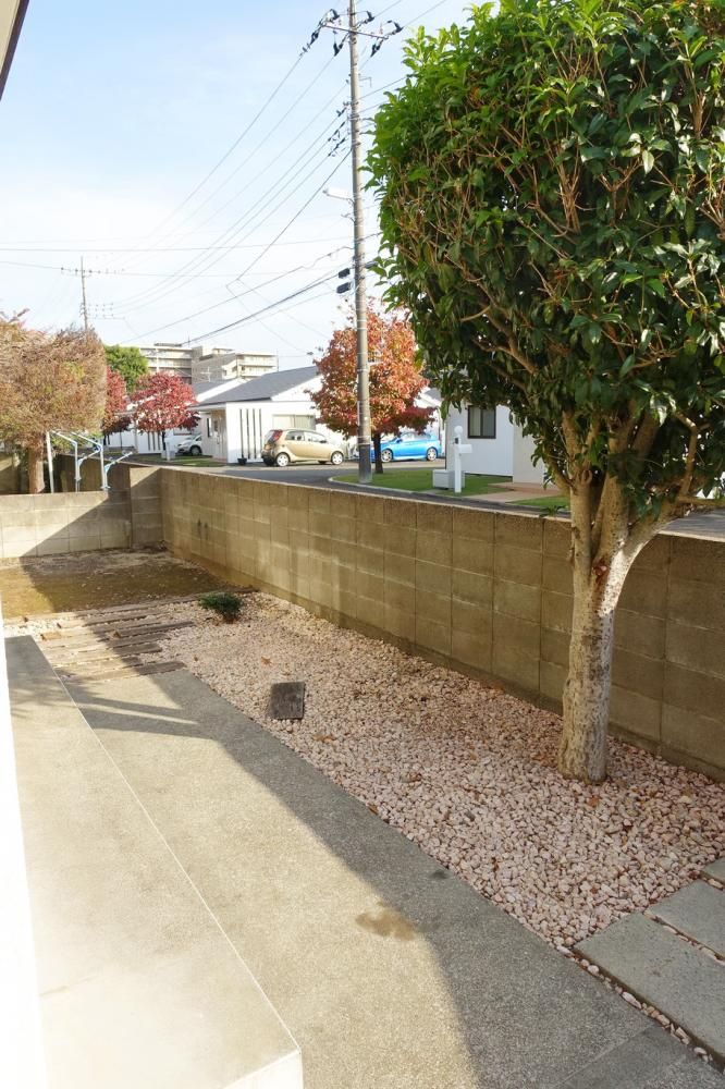 �y�o���R�j�[�z�@