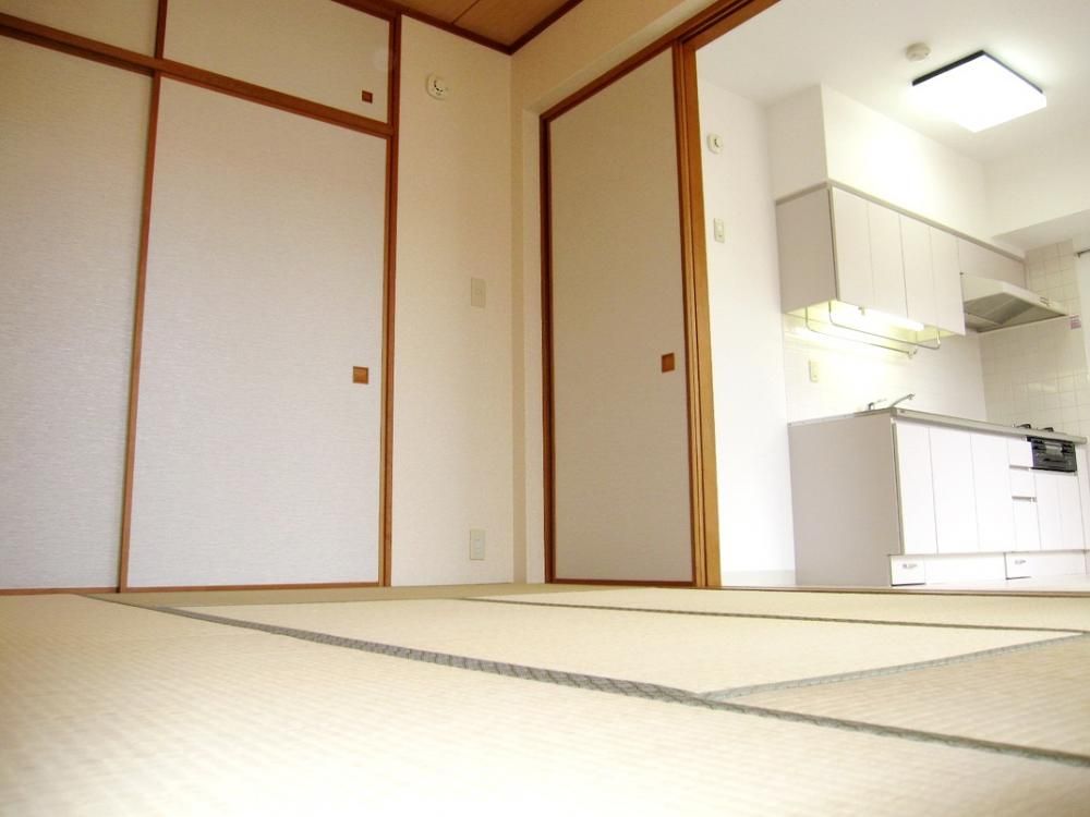 �y���̑��z�@