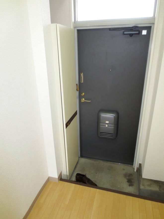 �y���ցz�@