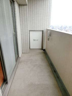 �y�x�����_�z�@