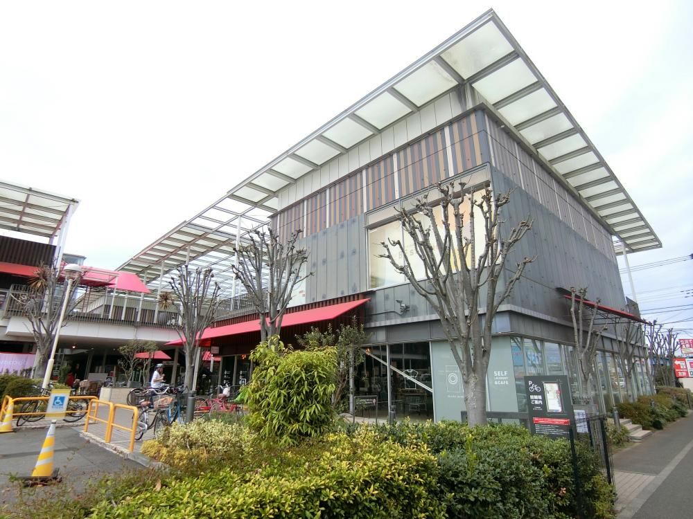 �y���Ӂz�@�P���L���[���@�Q�O�O�O��