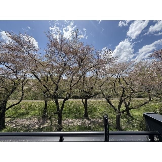 �y�x�����_�z�@