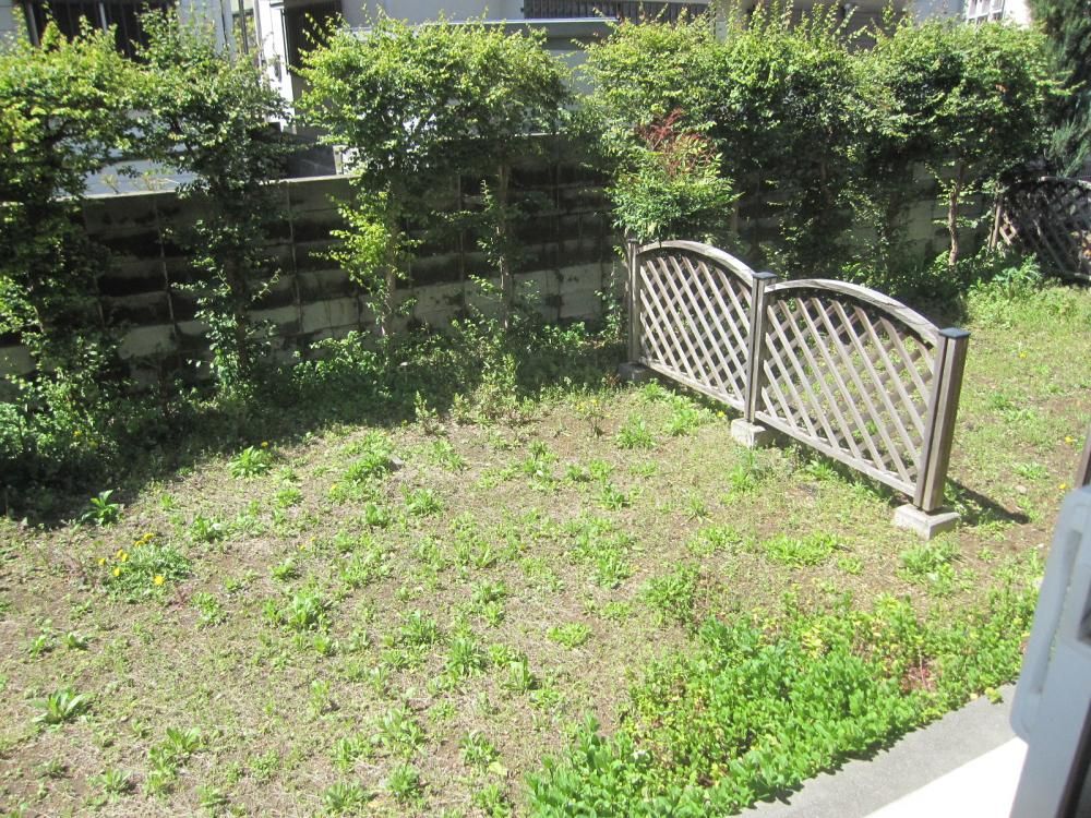 �y�o���R�j�[�z�@